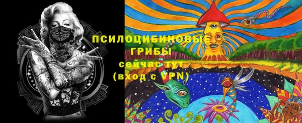 ALPHA-PVP Алексин