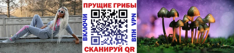 Галлюциногенные грибы Psilocybine cubensis  Фролово 