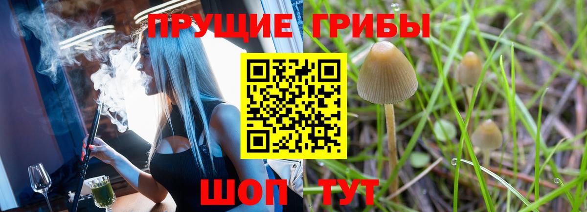 Фролово  Галлюциногенные грибы мухоморы  Вход с VPN  Псилоцибиновые грибы GOLDEN TEACHER 