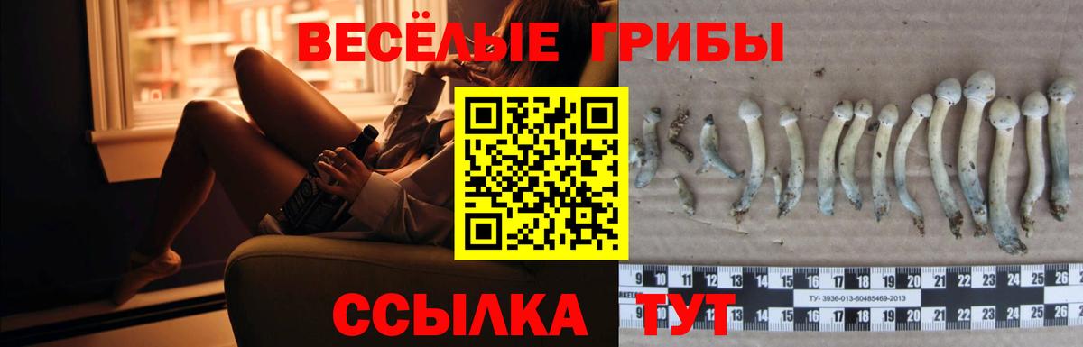 Галлюциногенные грибы прущие грибы Фролово
